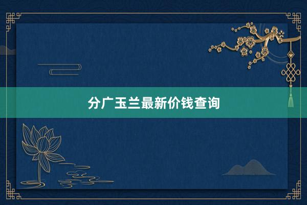 分广玉兰最新价钱查询