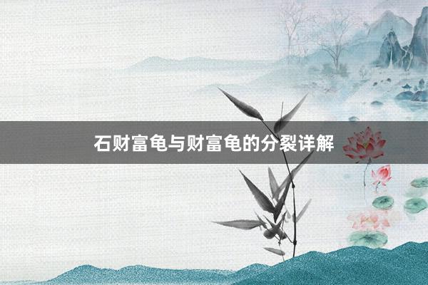 石财富龟与财富龟的分裂详解